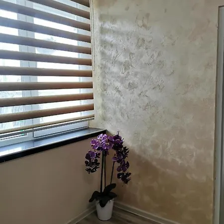 Apartment Ruza
