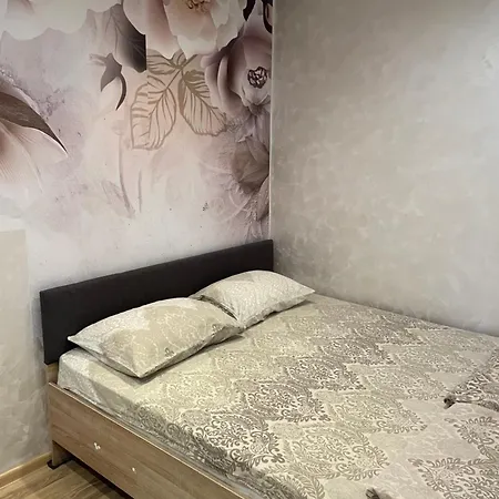 Apartment Ruza