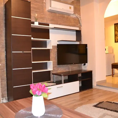 Ruza Apartment *