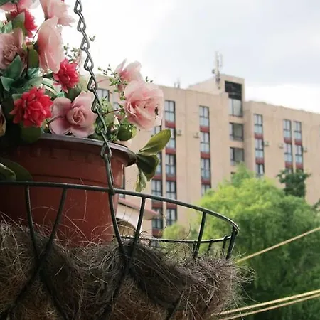 Apartment Ruza *