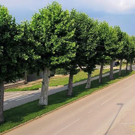 Ruza * Kladovo